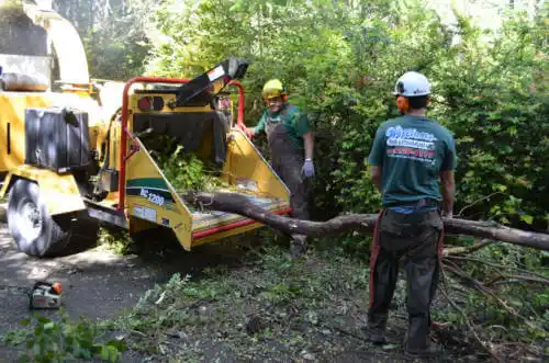 tree services Perdido